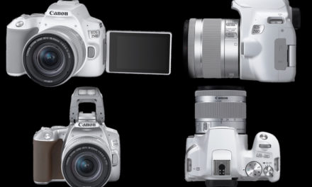 Canon treibt´s bunt: EOS 250D ist  Aufsteiger in drei Farbvarianten