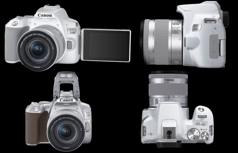 Canon treibt´s bunt: EOS 250D ist  Aufsteiger in drei Farbvarianten