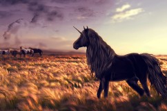 horse_unicorn_golf_art_grass_wind_96812