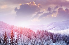 landscape_winter_snow_trees_mountains_forest_sky_clouds_97311