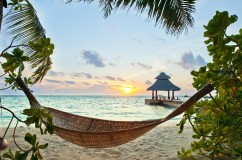 tropics_beach_sand_hammock_holiday_palm_96442